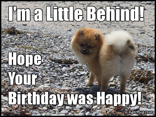 35 Best Happy Belated Birthday Memes SayingImages