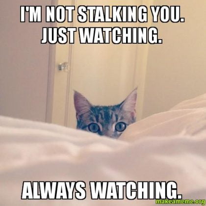 20 Stalking Memes That Will Not Creep You Out - SayingImages.com