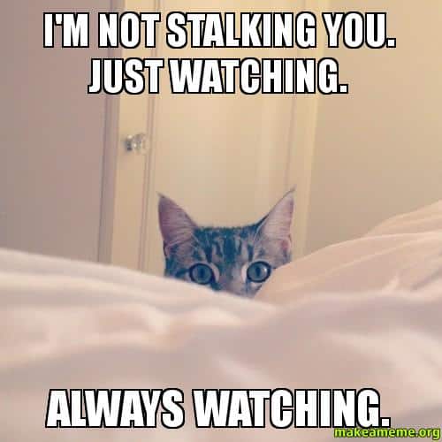 20 Stalking Memes That Will Not Creep You Out