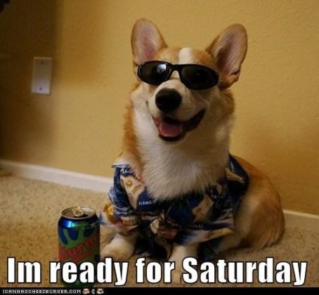 30 Saturday Memes To Make Your Weekend More Fun - SayingImages.com