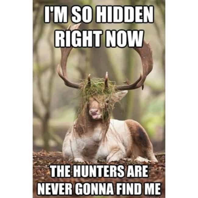 gay deer hunter