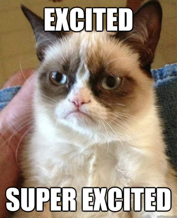 50 Best I m So Excited Memes SayingImages