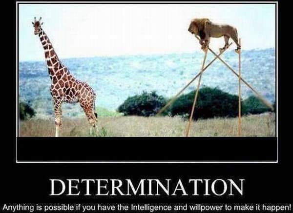 inspirational determination memes