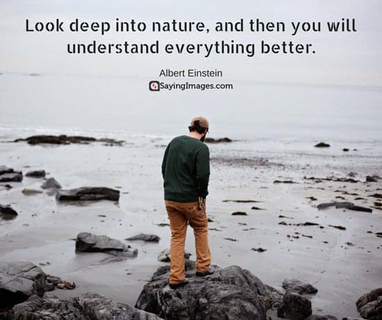 inspirational nature quotes