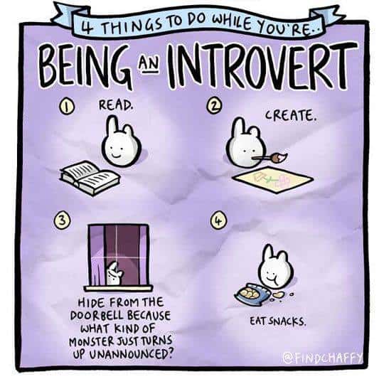 24 Funny And Relatable Introvert Memes