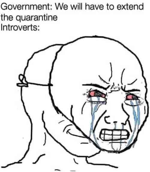 introvert extend quarantine meme