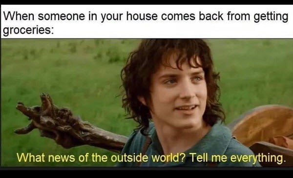 introvert in your house meme