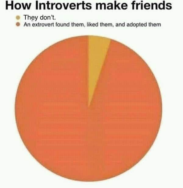 introvert make friends meme