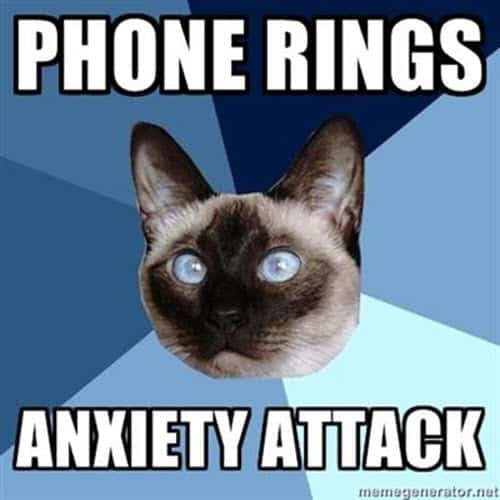 introvert phone rings meme