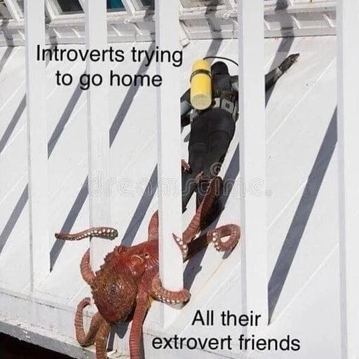 introvert trying to go home meme