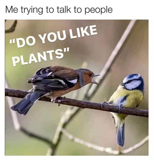 introvert trying to talk to people meme