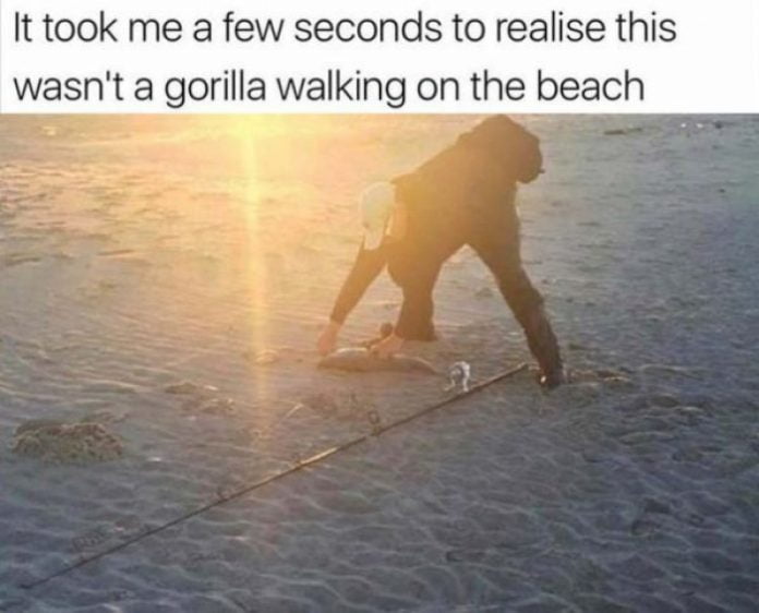 20 Relatable Beach Memes For The Summer
