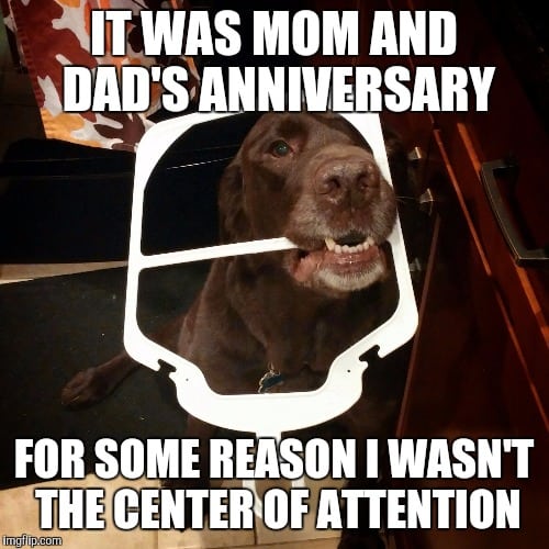 Funny Work Anniversary Meme