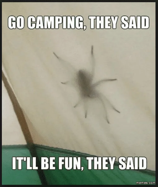 family camping trip meme