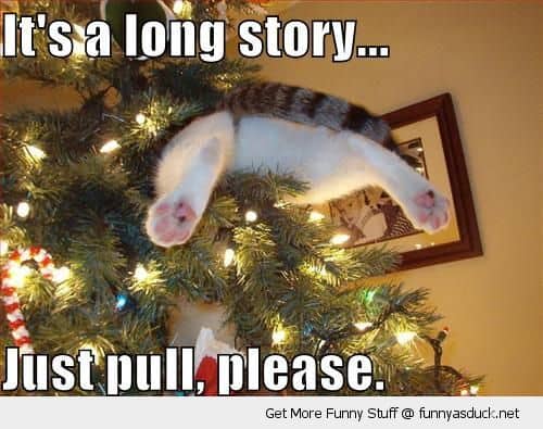 its-a-long-story-just-pull-please-funny-christmas-memes.jpg