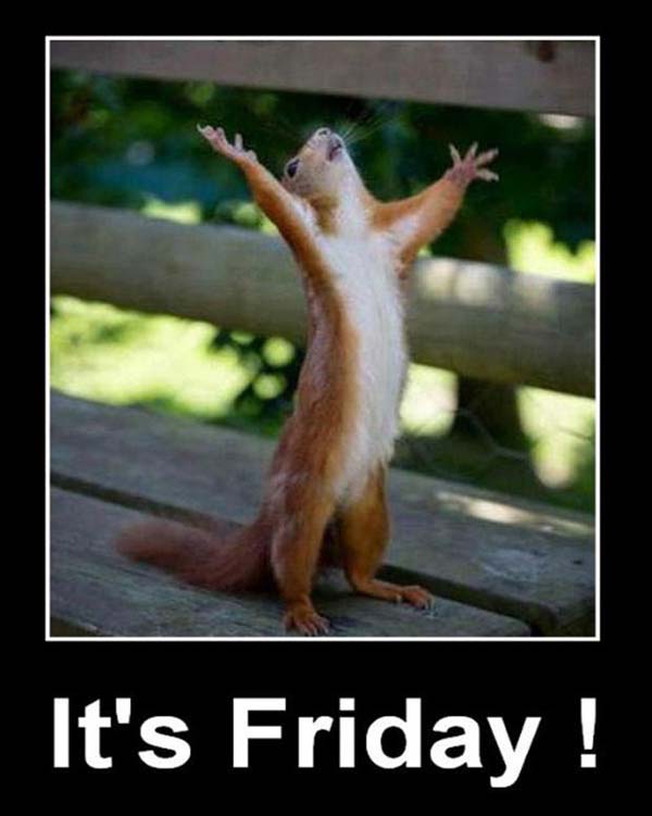 20 Happy Memes That Scream "It's Friday!" [Volume 2 ...