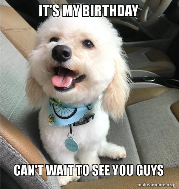 its my birthday cant wait to see you guys meme
