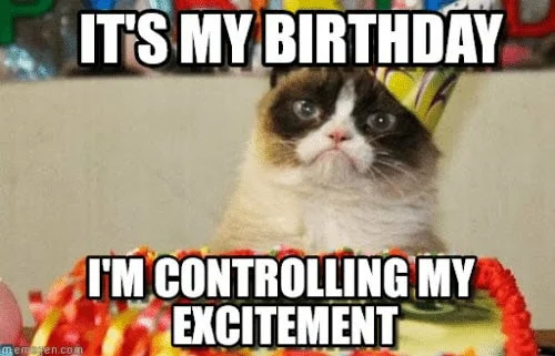 its my birthday im controlling my excitement meme