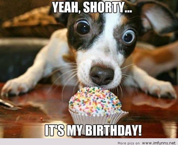 30 It's My Birthday Memes To Remind Your Friends | SayingImages.com