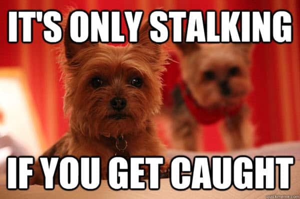 online stalking funny