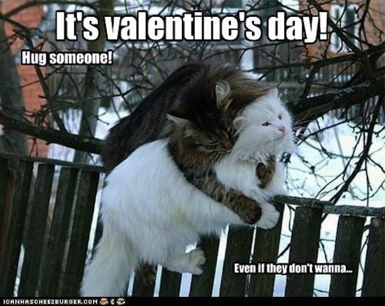 20 Cute and Funny Valentine's Day Memes | SayingImages.com
