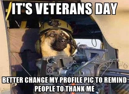 20 Best Veteran's Day Memes - SayingImages.com