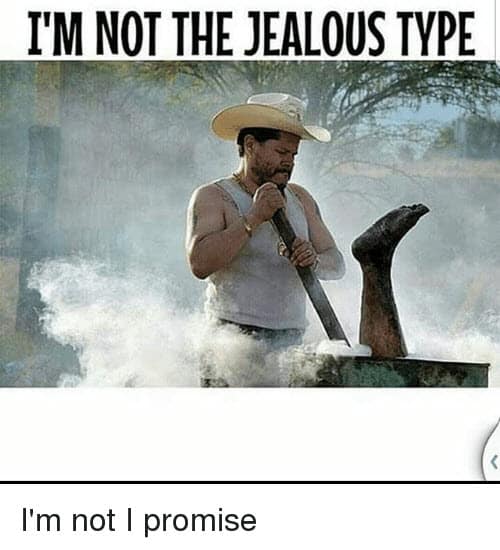 jealous type meme