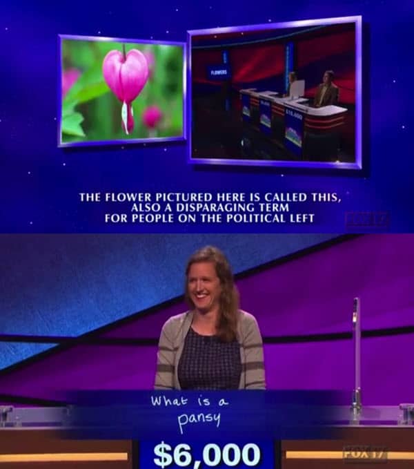 jeopardy pansy memes