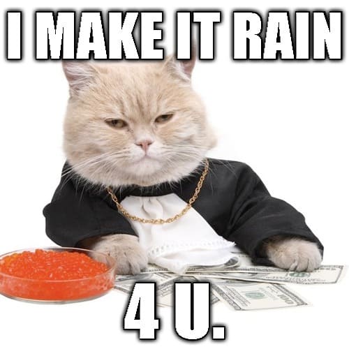 20 Make It Rain Memes That'll Make You Look Cool - SayingImages.com