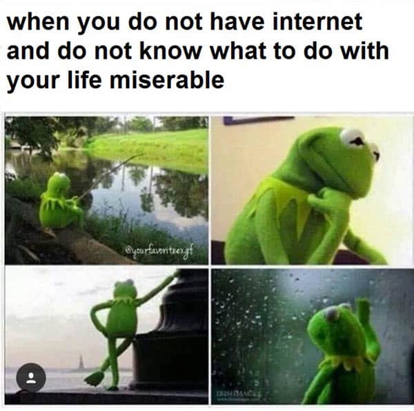 kermit the frog do not have internet memes