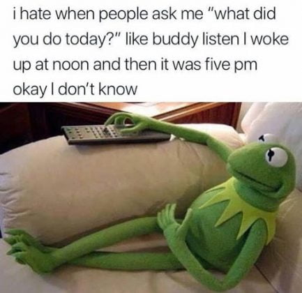 25 Kermit the Frog Memes That Are Insanely Hilarious - SayingImages.com