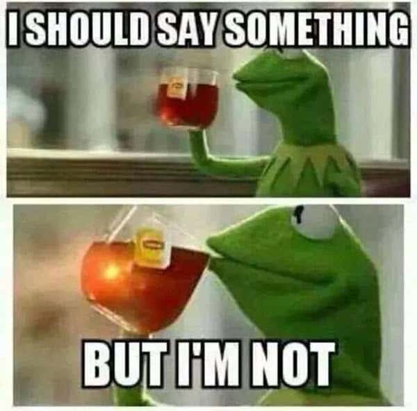 kermit the frog i should say something memes