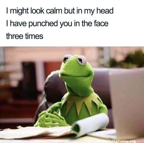 kermit the frog look calm memes