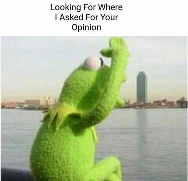 kermit the frog opinion memes