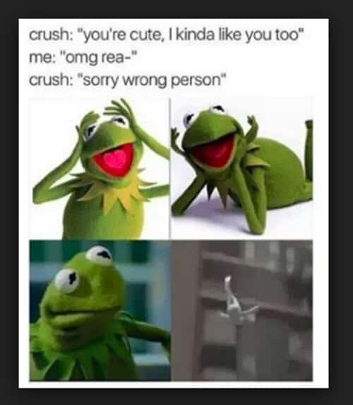 kermit the frog wrong person memes