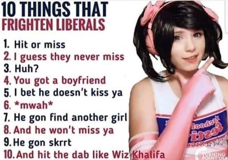 liberals tiktok meme