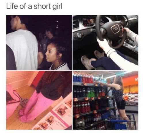 life of a short girl memes