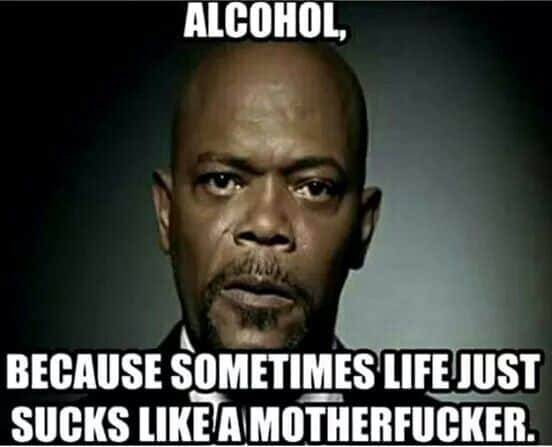 life sucks alcohol meme