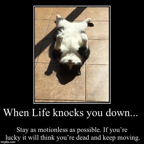 life sucks knocks you down meme