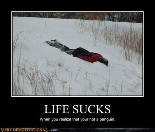 life sucks not a penguin meme