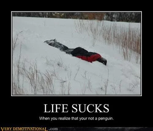 life sucks not a penguin meme