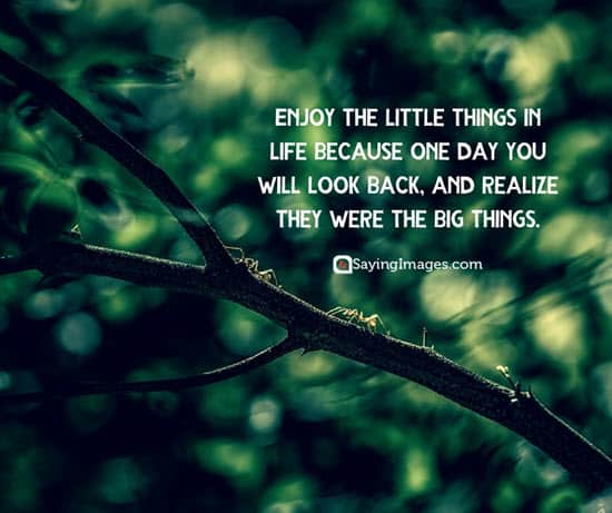 little things in life quotes