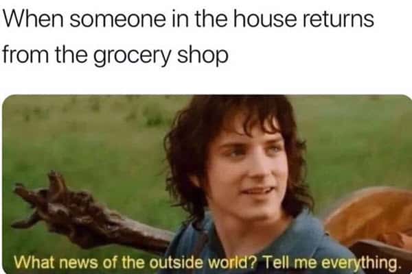 lockdown grocery memes