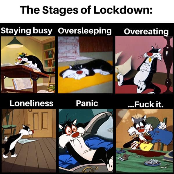 20 Funny And Relatable Lockdown Memes | SayingImages.com