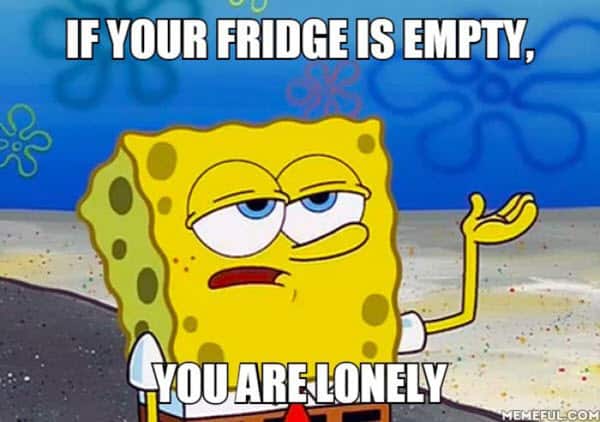 lonely fridge is empty meme