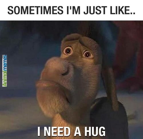 lonely hug meme