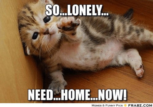 lonely need home now meme