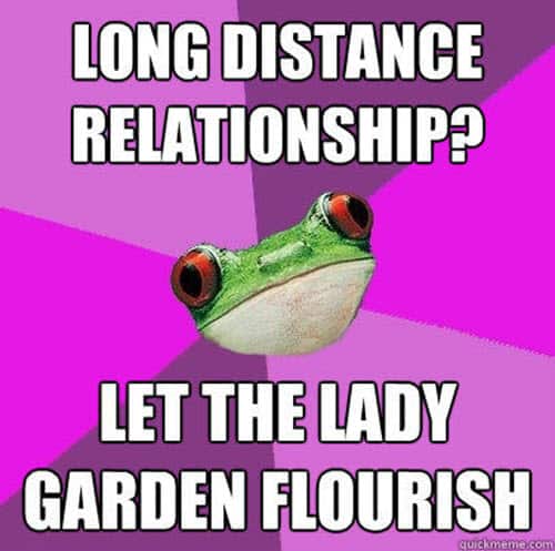 long distance relationship lady garden flourish meme
