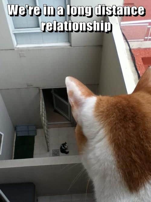 long distance relationship were in meme