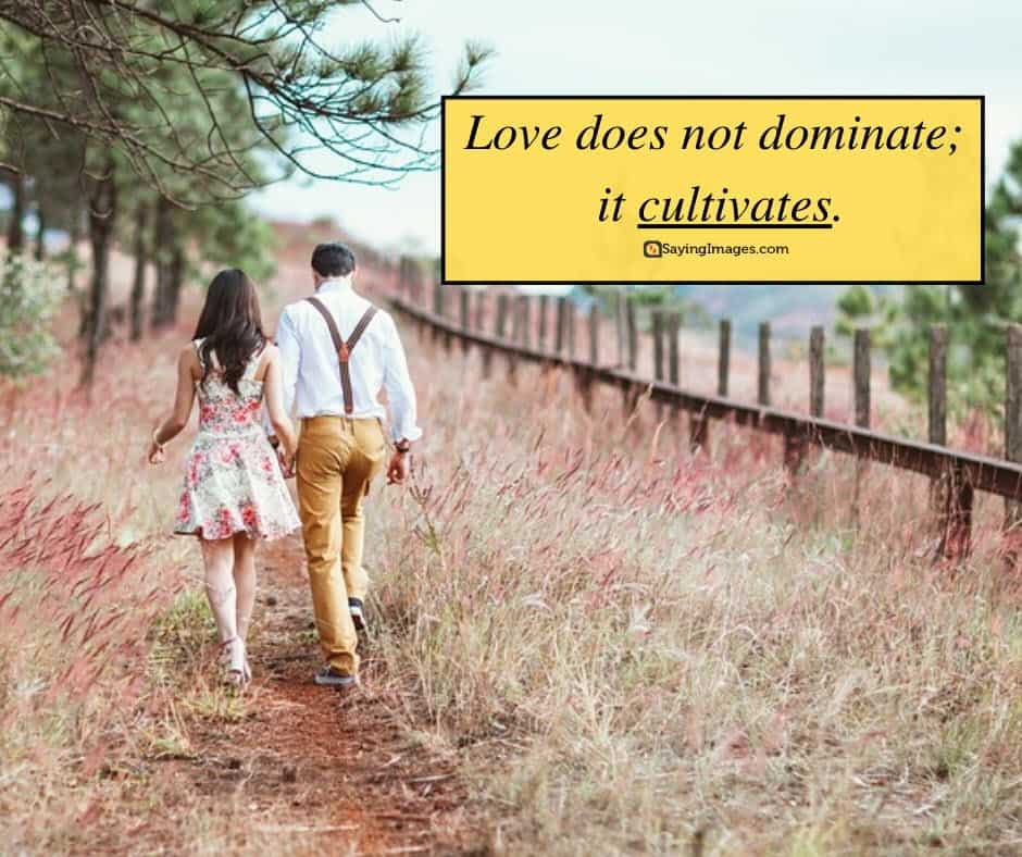 love cultivates quotes